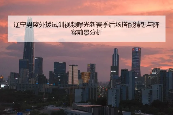 辽宁男篮外援试训视频曝光新赛季后场搭配猜想与阵容前景分析